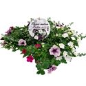 Bild von TP26 Mixpot Mix 2